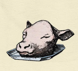 Veal Head, Engraving Late 19th Century