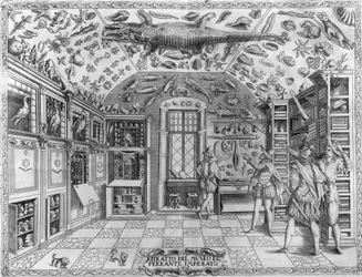 View of the museum (cabinet) of curiosities (encyclopedic museum) of the pharmacist Ferrante Imperato (1550 - 1631). Engraving from 1678. Museum of the Neapolitan apothecary Ferrante Imperato.