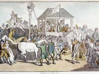 Weighing and washing before a horse race