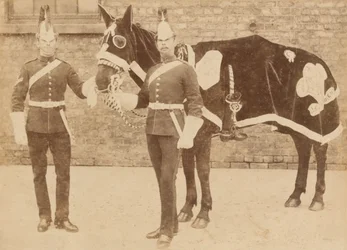 A Horse of the 3rd