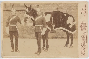 A Horse of the 3rd