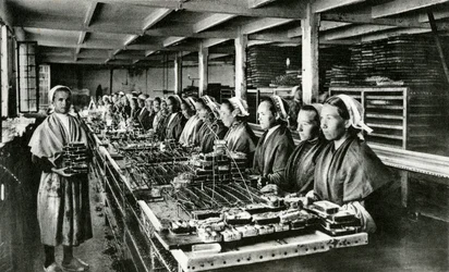 Canning of Sardines, Sardine Industry, Finistère, Brittany