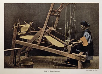 Chinese weaver
