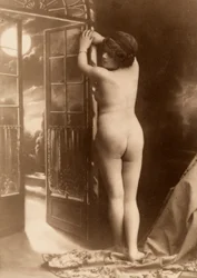 Nude Portrait of a Young Woman Seen from the Rear