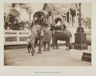 Photograph in photograph album