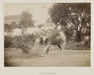 Photograph in photograph album