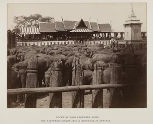 Photograph in photograph album