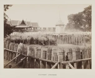 Photograph in photograph album