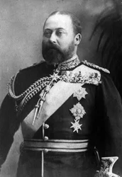 Portrait of Albert Edward, Prince of Wales, then King of England under the name of Edward VII (1841-1910)