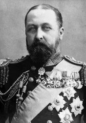 Portrait of Alfred Ernest Albert