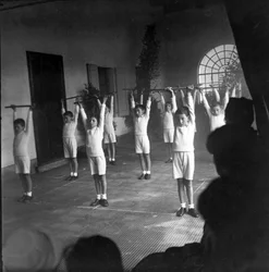 Sports, physical education, school gym