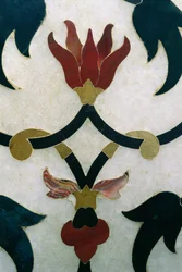 Lotus flowers (detail)