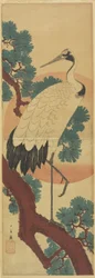 Crane on Pine Branch