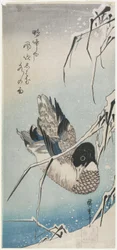 Duck and Snowy Reeds