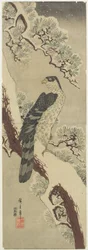 Hawk on Pine Branch, Winter, early 19th century