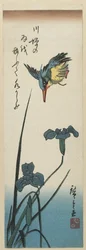 Iris and Kingfisher