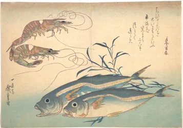 Aji Fish and Kuruma Shrimp, from the series Uozukushi (Every Variety of Fish)