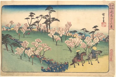 Cherry Blossom Viewing at Asukayama
