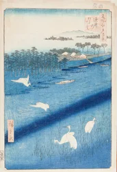 White Egrets over the Sakasai River, Sakasai no watashi, plate 58 from the series: One Hundred Famous Views of Edo, Meisho Edo hyakkei
