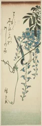 Bird and Wisteria