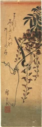 Bird on Wisteria Vine