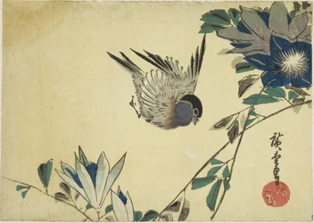 Bullfinch and Clematis