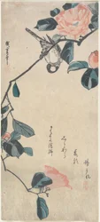Camellia and Bullfinch