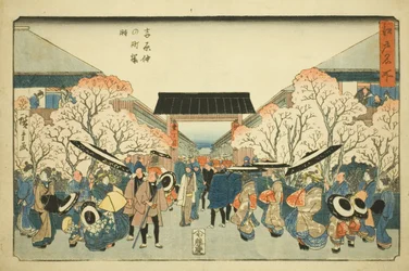 Cherry Blossom Season at Nakanocho in the Yoshiwara, from the series Famous Places in Edo