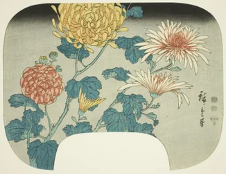 Chrysanthemums