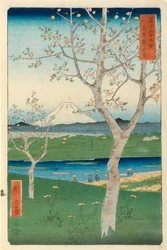 Fuji from Koshigaya, Mushashi, No.14 from the Series 