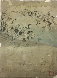 Herons Among Grasses