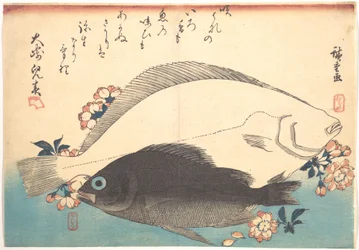 Hirame and Mebaru Fish with Cherry Blossoms, from the series Uozukushi - Every Variety of Fish