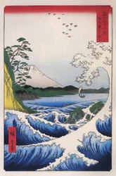 Mt Fuji 2