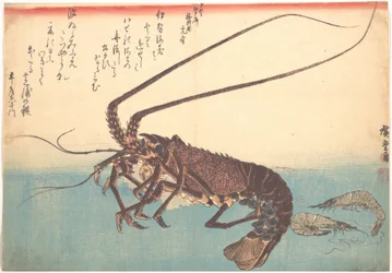 Ise-ebi and Shiba-ebi, from the series Uozukushi (Every Variety of Fish)