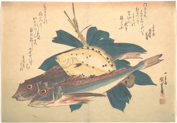 Kanagashira and Karei Fish, from the series Uozukushi (Every Variety of Fish)