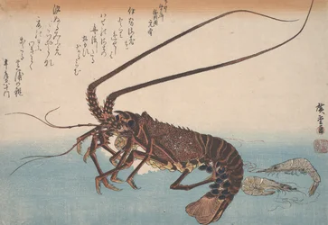 Lobster and Shrimp