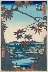 Maple Leaves and the Tekona Shrine and Bridge at Mama
