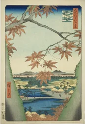 Maple Trees at Mama, Tekona Shrine and Tsugi Bridge, from the series "One Hundred Famous Views of Edo"