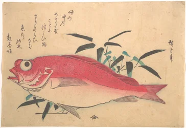 Medetai Fish and Sasaki Bamboo, from the series Uozukushi (Every Variety of Fish)