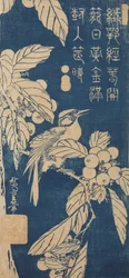 Japanese Loquat and a Small Bird / Biwa ni kotori