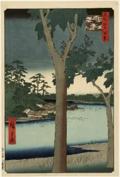 Paulownia Plantation at Akasaka