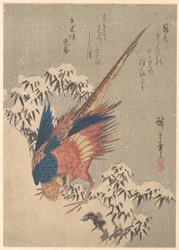 Pheasant Among Snow-laden Bamboo on Hillside