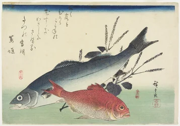 Red Snapper, Sea Bass and Perilla