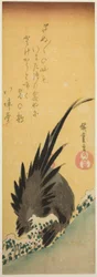 Rooster on a Hillside in Winter