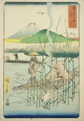 Sagami River, from the series 