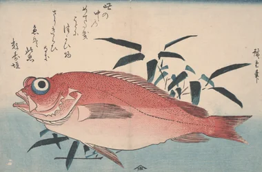 Sea-bream and Bamboo Grass