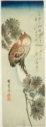Small-Horned Owl, Pine, and Crescent Moon