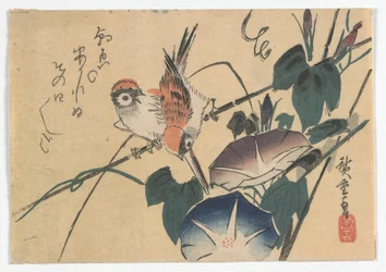 Sparrows and Morning Glories, Edo period, late 1830s