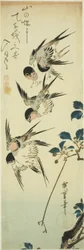 Swallows and Flowering Branch
