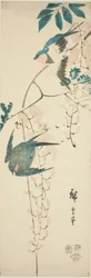 Swallows and Wisteria
